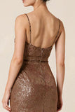 Coffee Sequin Sheath V Neck Long Evening Dress