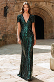 Dark Green Sheath V-Neck Sequin Evening Dress