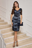 Sheath V-Neck Lace Little Black Dress with Short Sleeves
