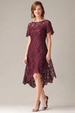 Burgundy Lace High-Low Mum of the Bride Dress with Short Sleeves