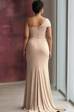 Light Khaki One Shoulder Ruched Sheath Plus Size Long Formal Dress