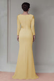 Blush Lace Sheath Mother Of The Bride Dress with Long Sleeves