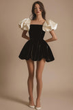 A Line Short Sleeves Pleated Velvet Little Black Dress