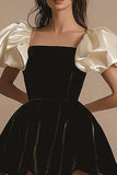 A Line Short Sleeves Pleated Velvet Little Black Dress