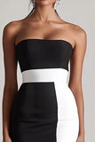 Strapless Bodycon Black and White Mini Dress