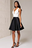Black And White A-Line V-Neck Mini Dress