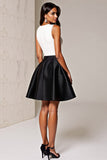 Black And White A-Line V-Neck Mini Dress