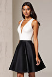 Black And White A-Line V-Neck Mini Dress