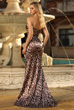 Coffee Leopard Corset Strapless Long Prom Dress