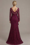 Cabernet Mermaid V Neck Lace Mother of the Bride Dress with Long Sleeves