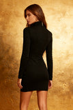 Long Sleeve Bodycon Nigh Neck Little Black Dress