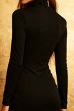 Long Sleeve Bodycon Nigh Neck Little Black Dress
