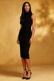 Simple Bodycon High Neck Little Black Dress