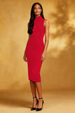 Simple Bodycon High Neck Little Black Dress