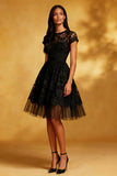 A Line Round Neck Lace Little Black Dress