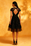 A Line Round Neck Lace Little Black Dress