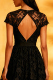 A Line Round Neck Lace Little Black Dress