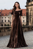 Brown Short Sleeve A Line Velvet Formal Dress