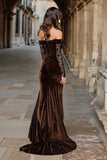 Brown Velvet Lace Off the Shoulder Holiday Party Dress