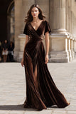 Brown Velvet A Line Short Sleeve Holiday Party Dress