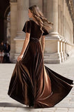 Brown Velvet A Line Short Sleeve Holiday Party Dress