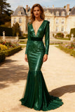 Sparkly Long Sleeve V Neck Mermaid Dark Green Evening Dress