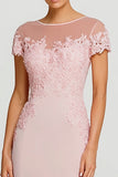 Pink Illusion Neck Mermaid Evening Dress with Appliques