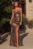 Brown Leopard Spaghetti Straps Long Prom Dress