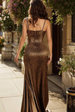 Sparkly Brown Leopard Beaded Long Prom Dress