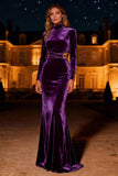 Purple Cut Out High Neck Velvet Mermaid Evening Dress