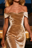 Champagne Velvet Off the Shoulder Evening Dress with Train