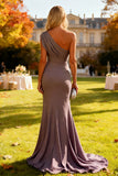 Mermaid One Shoulder Dusk Ruched Long Wedding Guest Dress