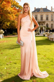 One Shoulder Mermaid Pink Long Wedding Guest Dress With Sash