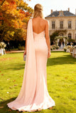 One Shoulder Mermaid Pink Long Wedding Guest Dress With Sash