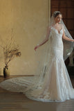 Elegant Ivory Appliqued Tulle Bridal Veil with Court Train