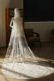 Elegant Ivory Appliqued Tulle Bridal Veil with Court Train