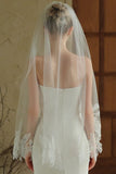 Elegant Ivory Tulle Lace Bridal Veil