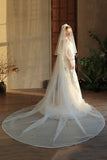 Classic Ivory Tulle Bridal Veil with Court Train