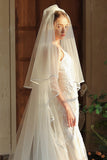 Classic Ivory Tulle Bridal Veil with Court Train