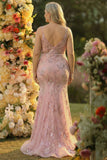 Mermaid Blush V-Neck Plus Size Prom Dress With Appliques