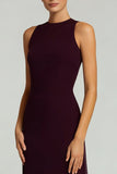 Elegant Burgundy Halter Long Formal Dress
