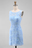 Blue Lace Floral Bodycon Bateau Neck Mini Dress