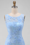 Blue Lace Floral Bodycon Bateau Neck Mini Dress