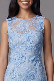 Blue Lace Floral Bodycon Bateau Neck Mini Dress