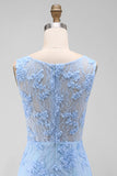 Blue Lace Floral Bodycon Bateau Neck Mini Dress