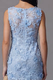 Blue Lace Floral Bodycon Bateau Neck Mini Dress