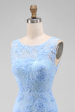 Blue Lace Floral Bodycon Bateau Neck Mini Dress