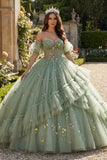 Dusty Sage Off the Shoulder A Line Quinceañera Dress with Appliques