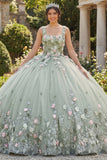 Sage Green Ball Gown Square Neck Quinceañera Dress with Appliques