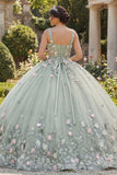 Sage Green Ball Gown Square Neck Quinceañera Dress with Appliques